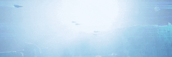 34b1d02d302fd851f592b1e60b7d645e_1730087878_3247.gif