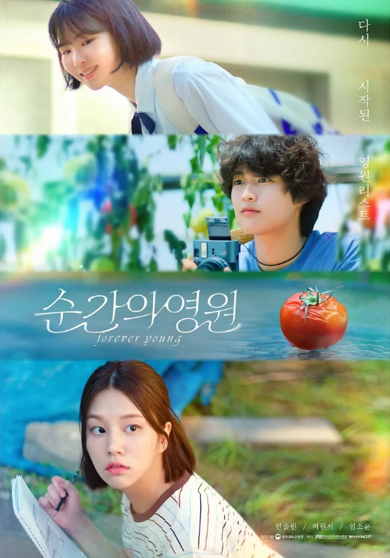순간의 영원 2025.jpg